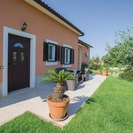 Apartament Beautiful In With Kitchen